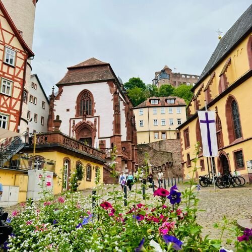 Eine alte deutsche Innenstadt. Im Vordergrund ist ein Blumenbeet zu sehen.