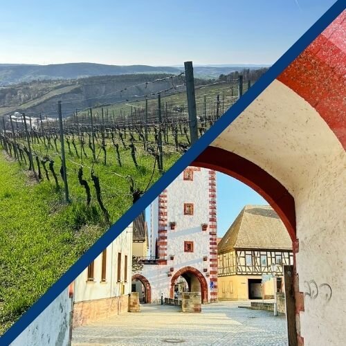 Ein fränkischer Weinberg und eine fränkische Altstadt.